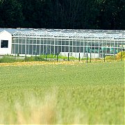 Greenhouse