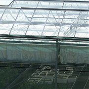 Greenhouse